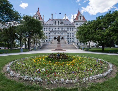 Protect the Adirondacks testified at state hearings and provided analysis on new 2020-21 New York State budget
