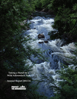 2013-14-Annual-Report-cover-web