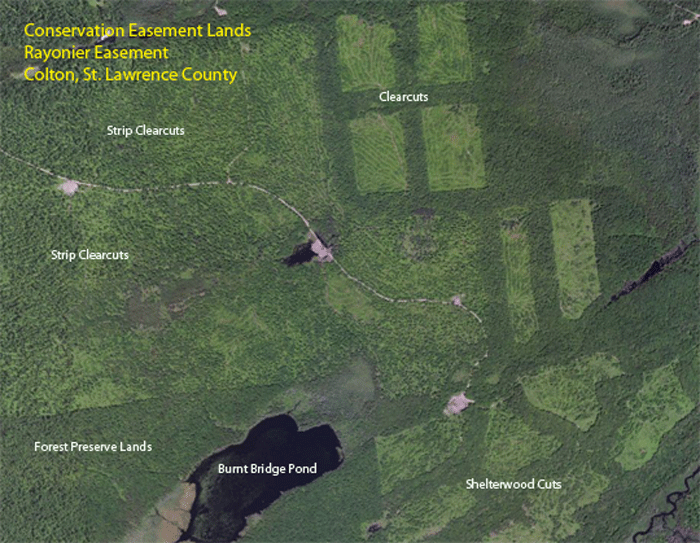 Easement-Lands-Rayonier-Burnt-Bridge-Pond-with-Labels