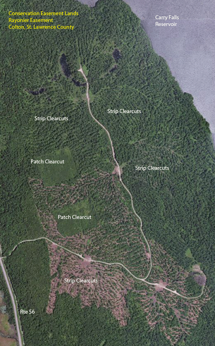 Easement-Lands-Rayonier-CarryFallsReservoir-with-labels