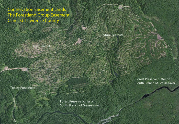 Easement-Lands-The-Forestland-Group-1-with-labels