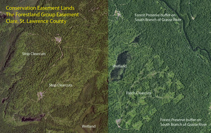Easement-Lands-The-Forestland-Group-2-with-labels