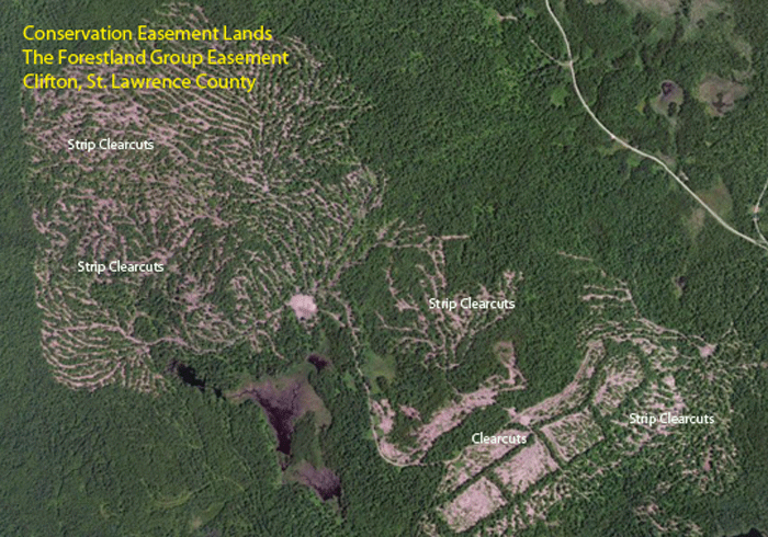 Easement-Lands-The-Forestland-Group-4withlabels