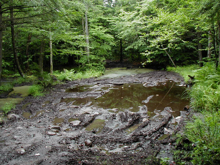 ATV damage in the Ferris Lake Wild Forest Area in the Adirondack Forest Preserve.