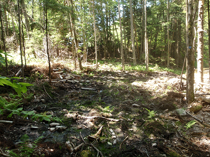 7thLakeMtnTrail-1