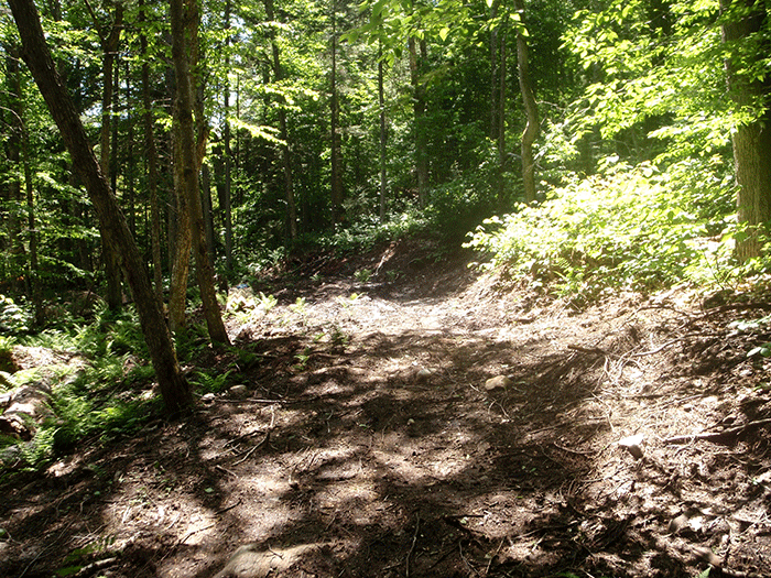 7thLakeMtnTrail-5