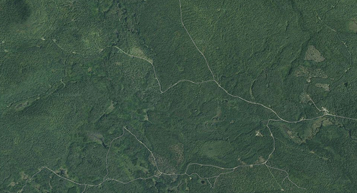 Kushaqua-Forestlands-Aerial