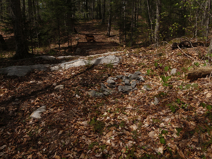 The Seventh Lake Mountain Trail, a class II community connector snowmobile trail,  includes a place where bedrock was chipped away, such as that pictured above. This is a design feature that is not used for foot trails.