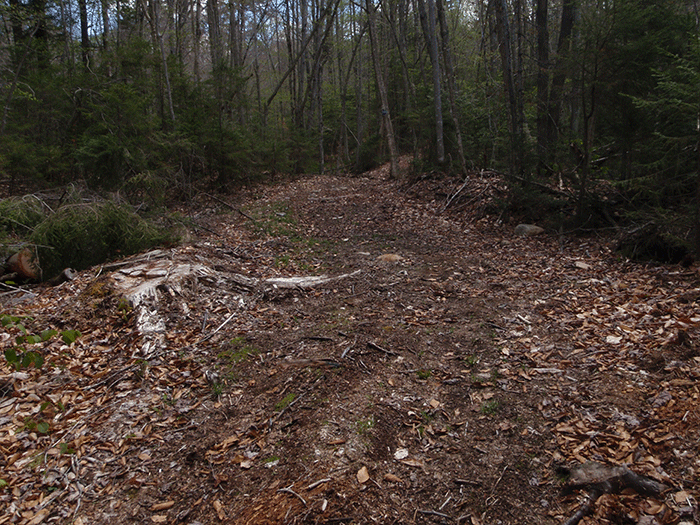 The Seventh Lake Mountain Trail, a class II community connector snowmobile trail, saw over 2,000 trees cut down and destroyed. This is a design feature that is not used for foot trails.