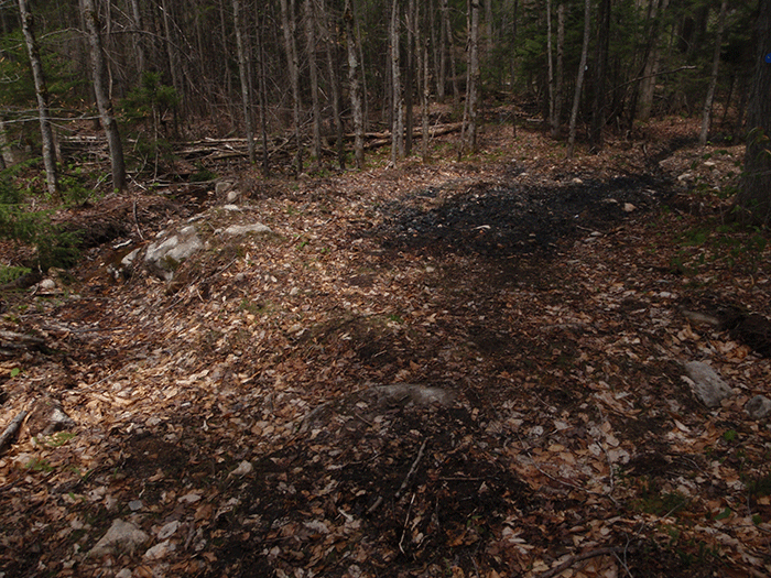 The Seventh Lake Mountain Trail, a class II community connector snowmobile trail,  includes a number of places with large trailside drainage ditches like the one pictured above on the left. This is a design feature that is not used for foot trails.