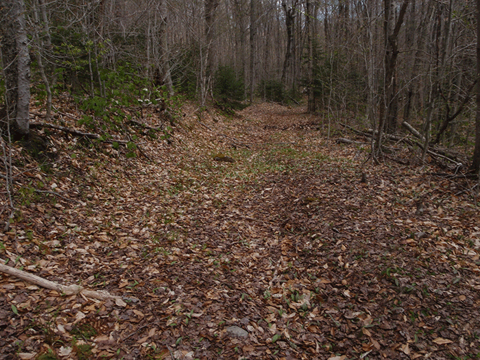 The Seventh Lake Mountain Trail, a class II community connector snowmobile trail, includes thousands of feet of "bench cuts" into hillsides like those pictured above. This is a design feature that is not used for foot trails.