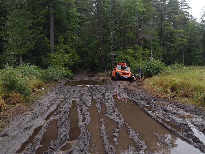 A jeep stuck in the mud in late August 2014 on the Crane Pond Road in the Pharaoh Lake Wilderness area.