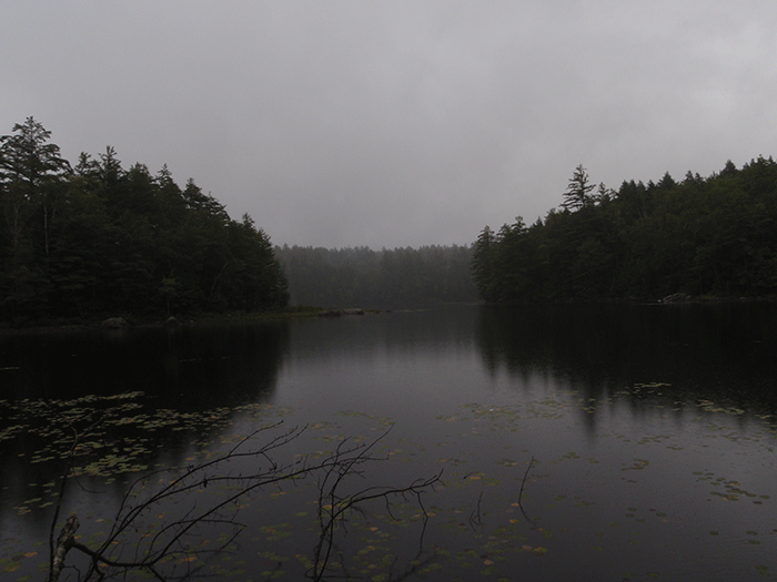 Beautiful Crane Pond. With many small bays and points, this pond is a great place to paddle and camp. The management of this area needs to be improved.