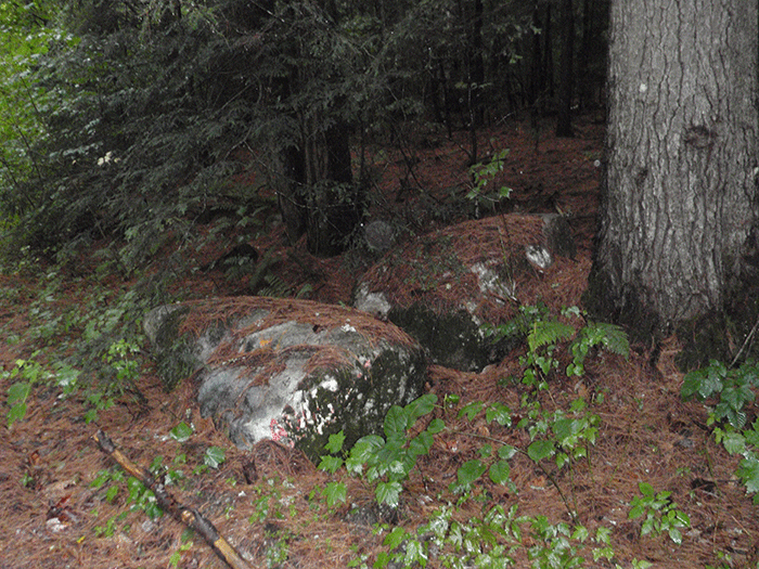 Boulders pushed aside at the entrance to the Crane Pond Road on the Forest Preserve stand as reminders of the time when the DEC tried to close the and placed boulders to block the road entrance. Smaller boulders were hauled around on a pick up truck in Albany as the "stones of shame." These larger boulders have long-faded unreadable spray painted messages. 