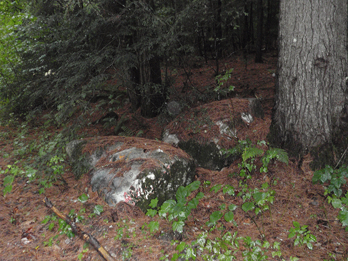 Boulders pushed aside at the entrance to the Crane Pond Road on the Forest Preserve stand as reminders of the time when the DEC tried to close the and placed boulders to block the road entrance. Smaller boulders were hauled around on a pick up truck in Albany as the "stones of shame." These larger boulders have long-faded unreadable spray painted messages.
