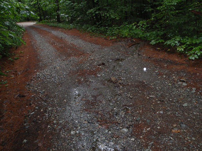 This part of the Crane Pond Road has actively an actively maintained water bar to manage drainage and prevent wash-outs.