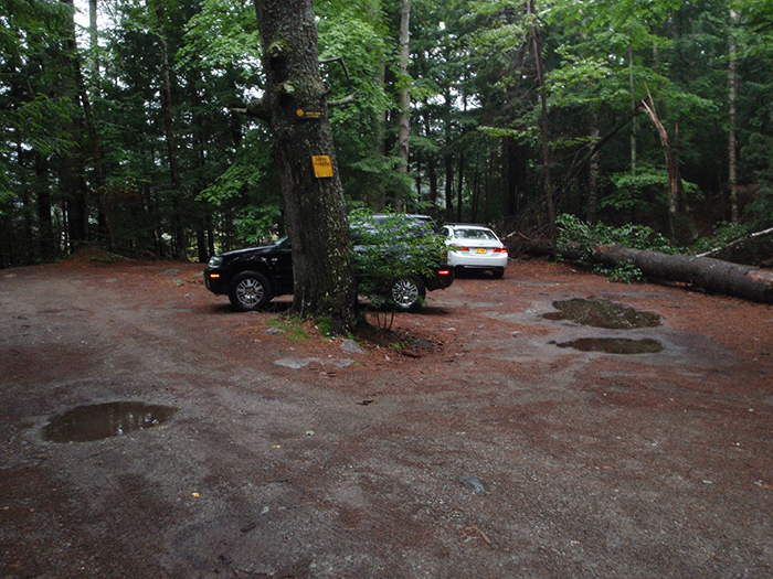 A parking area half way along Crane Pond Road at the Goose Pond trailhead.