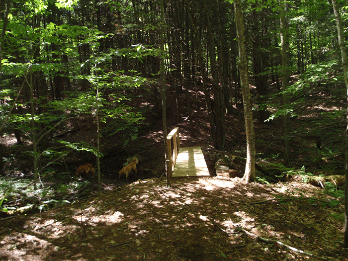 This bridge marks the beginning of a new section of the Northville Placid Trail (NPT). Currently, the trail begins at the south end of the Silver Lake Wilderness. Hikers who actually begin in Northville have walked along the Benson Road for years. The new trail will provide a great new beginning through one of the wildest parts of the Adirondacks.