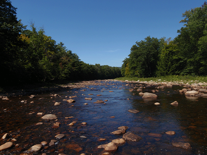 West Stony Creek runs wild and free through the heart of what could be a new West Stony Creek Wilderness. This area is current a motorless area with no roads or snowmobile trails. Research has identified the Wilderness characteristics of this wild tract of land.