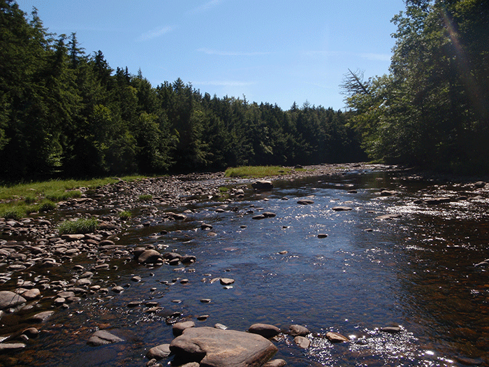 West Stony Creek. Big and wide, this shallow river swells to high levels with rainstorms and snowmelt because of its large watershed.