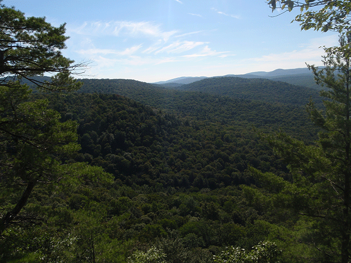 The high slopes above West Stony Creek and a dozen small rocky outcrops provide stunning view of these wild areas.