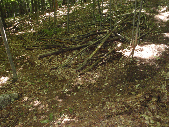 The early parts of the new Northville Placid Trail includes a number of switchbacks. A number of these switchbacks have been fortified with debris by the trail construction crew.