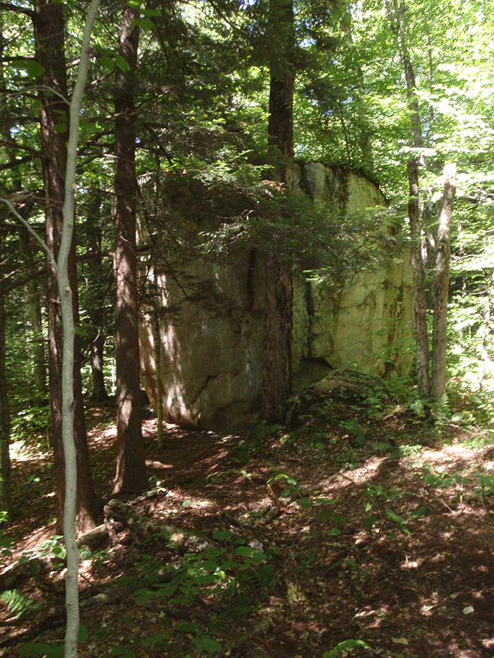 The new trail passes a beautiful erratic.