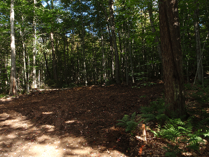 More road widening along Bear Creek Road in the Black River Wild Forest as part of the DEC reconstruction project.