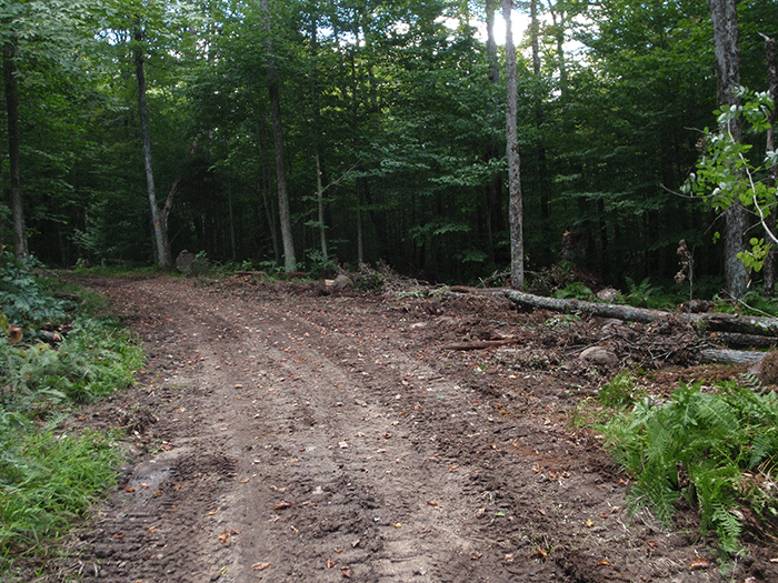 More road widening along Bear Creek Road in the Black River Wild Forest as part of the DEC reconstruction project.