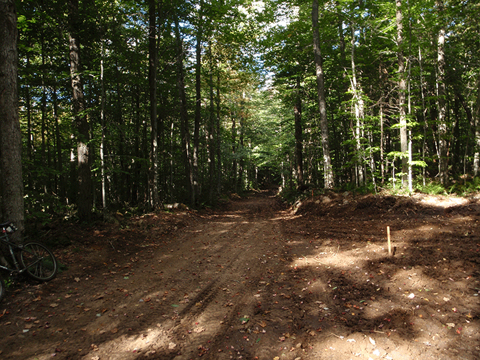 Road widening along Bear Creek Road in the Black River Wild Forest as part of the DEC reconstruction project.