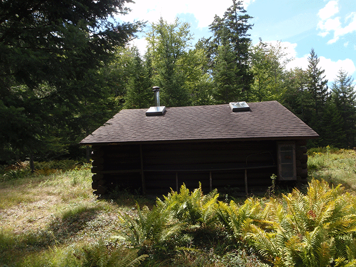 The Chub Pond Lean-to 1 was rebuilt with skylights. No other Forest Preserve lean-tos have skylights.