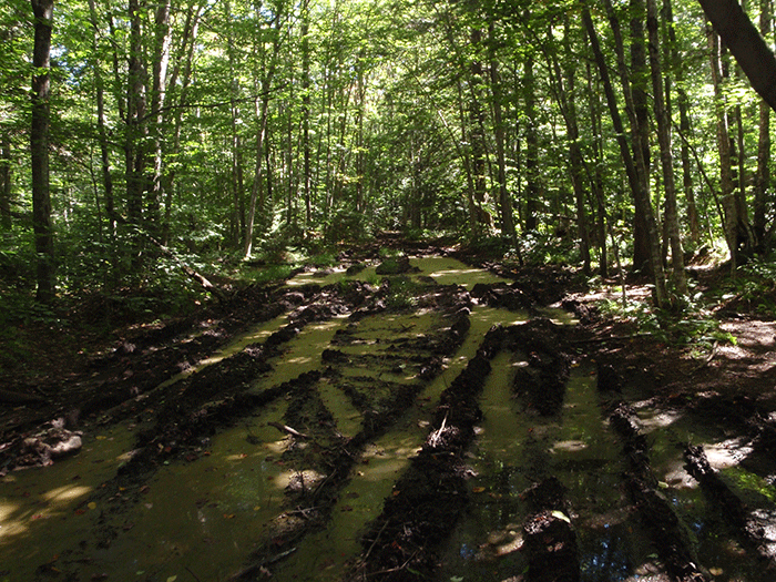 ATV damage has caused extensive soils damage, which has created an extensive mud pit.