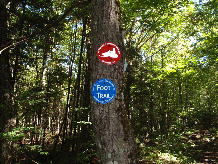 Trail markers clearly show that the Chubb Pond Trail is only for snowmobiles and hiking. Under state law, the only motor vehicles allowed on a shared snowmobile and hiking trail is a snowmobile.