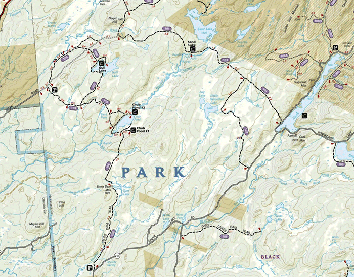 Map of a section of the Black River Wild Forest area where Gull Lake is located. Illegal ATV use occurs between the Bear Creek Road and Chub Pond Trail.
