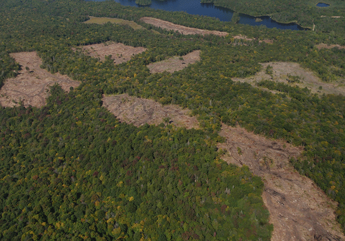 An aerial view of the new forest clear cuts between Long Lake and Blue Mountain Lake north of Route 30.