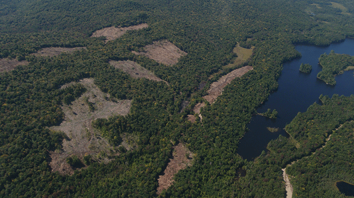 Another aerial view of the new forest clear cuts between Long Lake and Blue Mountain Lake north of Route 30.