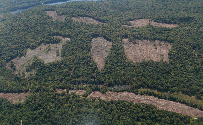 An aerial view of the new forest clear cuts between Long Lake and Blue Mountain Lake north of Route 30.
