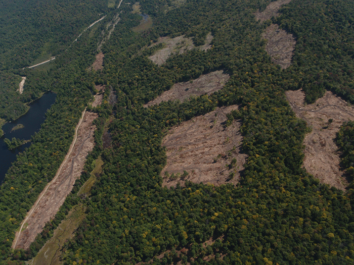 Another aerial view of the clearcuts between Long Lake and Blue Mountain Lake.