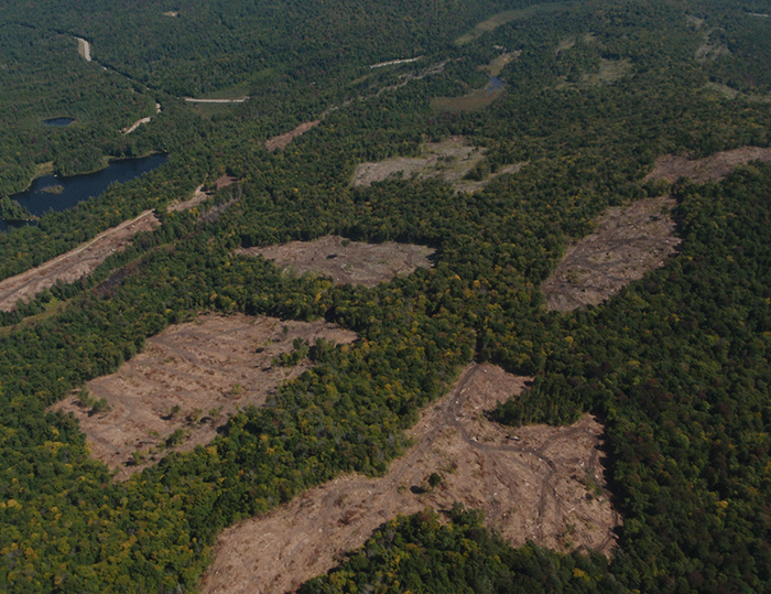 Another aerial view of the new clearcuts between Long Lake and Blue Mountain Lake.