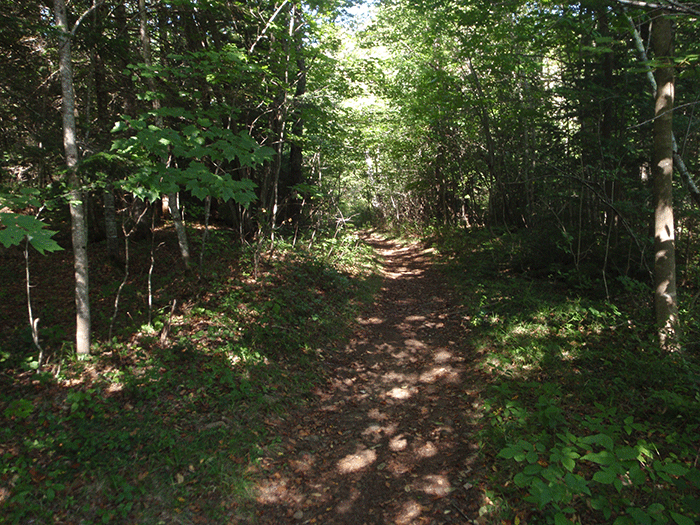 Another foot trail in the SIlver Lake Wilderness, accessed by the West River Road, where motor vehicle use is evident.