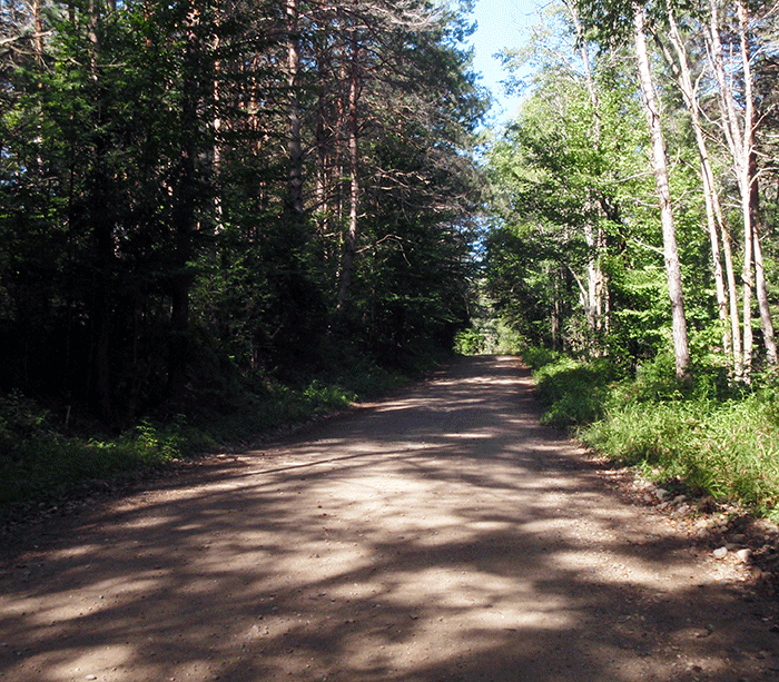 A section of the West River Road within the Silver Lake Wilderness Area.