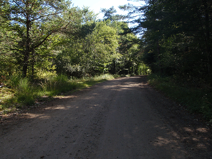 Another section of the West River Road within the Silver Lake Wilderness Area.