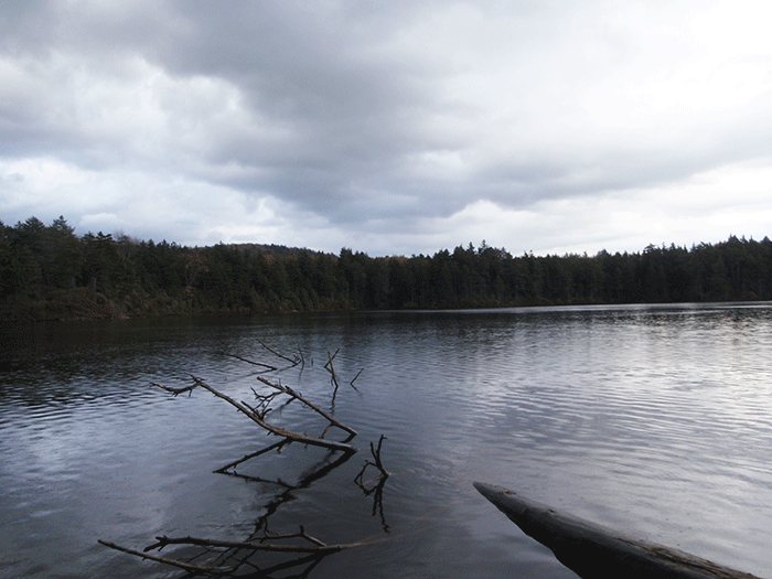 One view of beautiful Long Pond on a cloudy fall day.