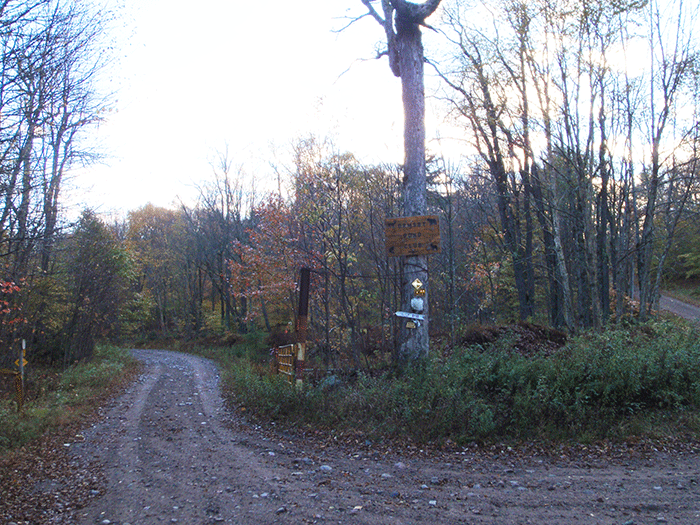 Signs at a road intersection on the Long Pond Conservation Easement. The public has blanket rights to hike or mountain bike throughout the tract. ATVs are allowed only on certain routes. There are camping opportunities.