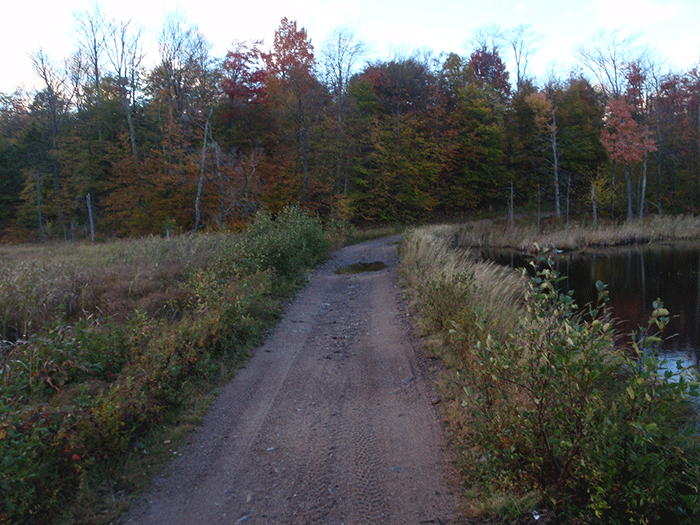 Typical section of road in the Long Pond Conservation Easement.