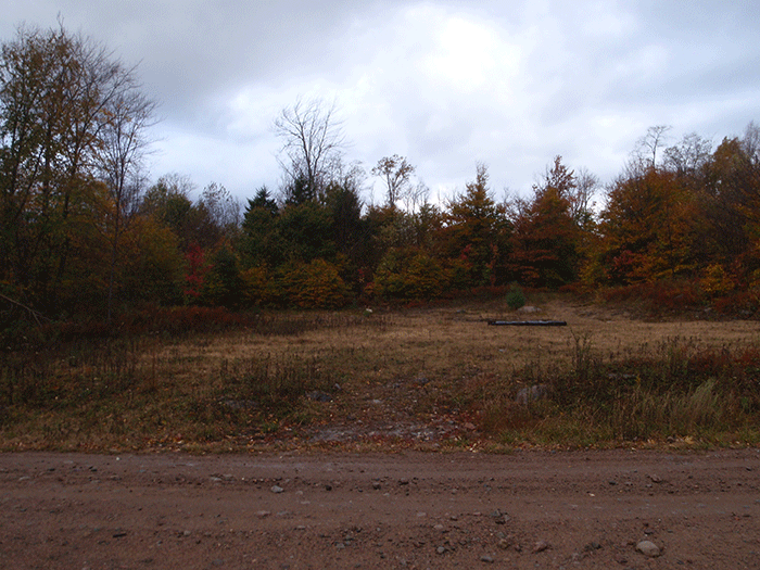Log landing area on the Long Pond Conservation Easement.
