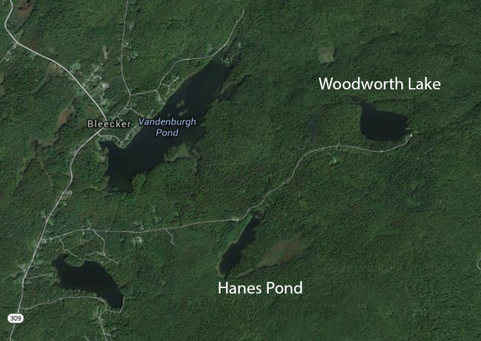 Aerial picture of the proposed 1,100-acre subdivision around Hines Pond and Woodworth Lake in the Town of Bleecker.