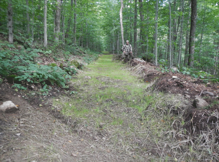 GilmanTownTrail-1