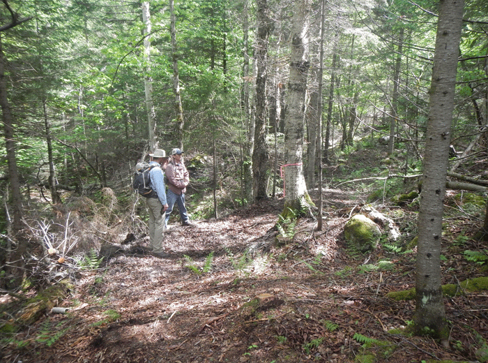 DEC staff discuss the route of a new class II community connector snowmobile trail  through a tract of unbroken forest.