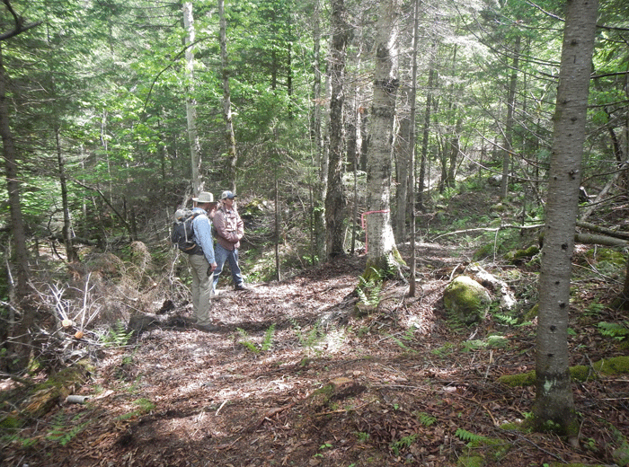 DEC staff discuss the route of a new class II community connector snowmobile trail through a tract of unbroken forest.